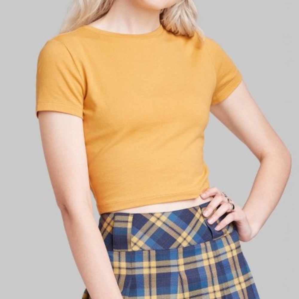 Wild Fable Crop Top